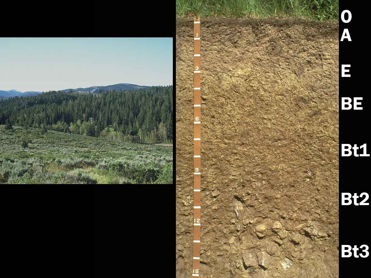 Alfisols | Soil & Water Systems | University of Idaho