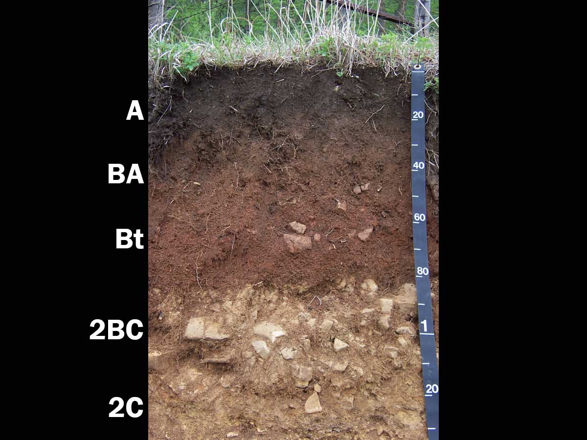 Alfisols | Soil & Water Systems | University of Idaho