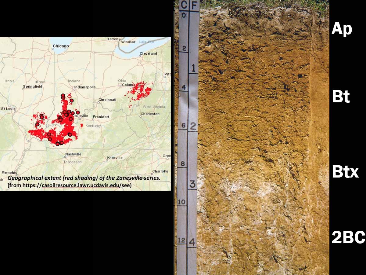 Alfisols | Soil & Water Systems | University of Idaho