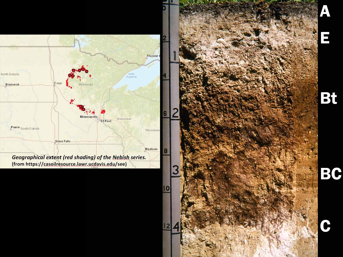 Alfisols | Soil & Water Systems | University of Idaho