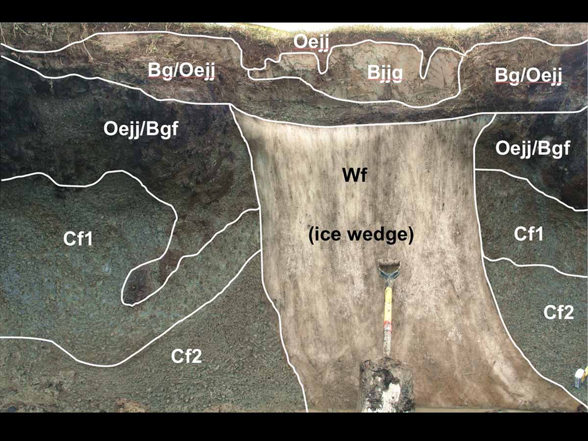 Gelisols | Soil & Water Systems | University of Idaho