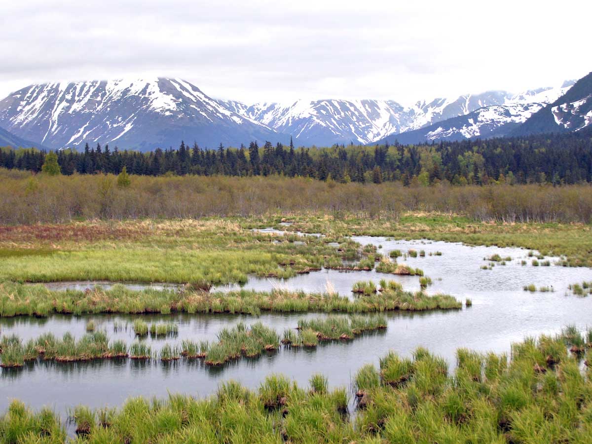 Gelisols | Soil & Water Systems | University of Idaho