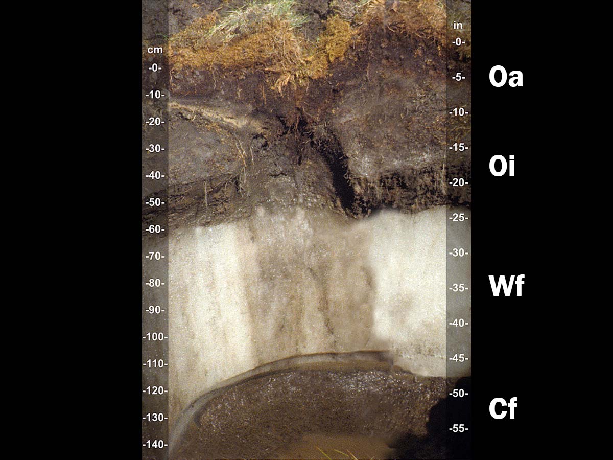 Gelisols | Soil & Water Systems | University of Idaho