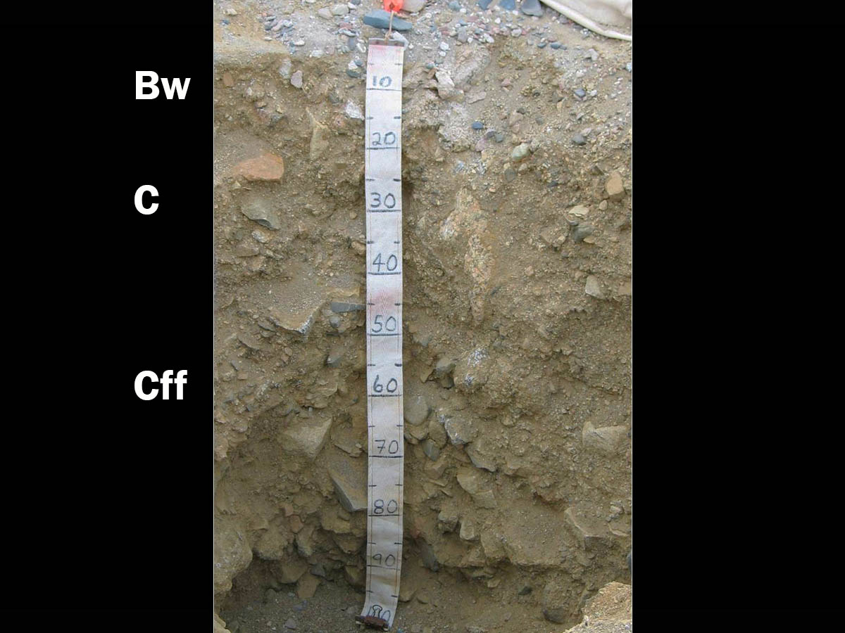 Gelisols | Soil & Water Systems | University of Idaho