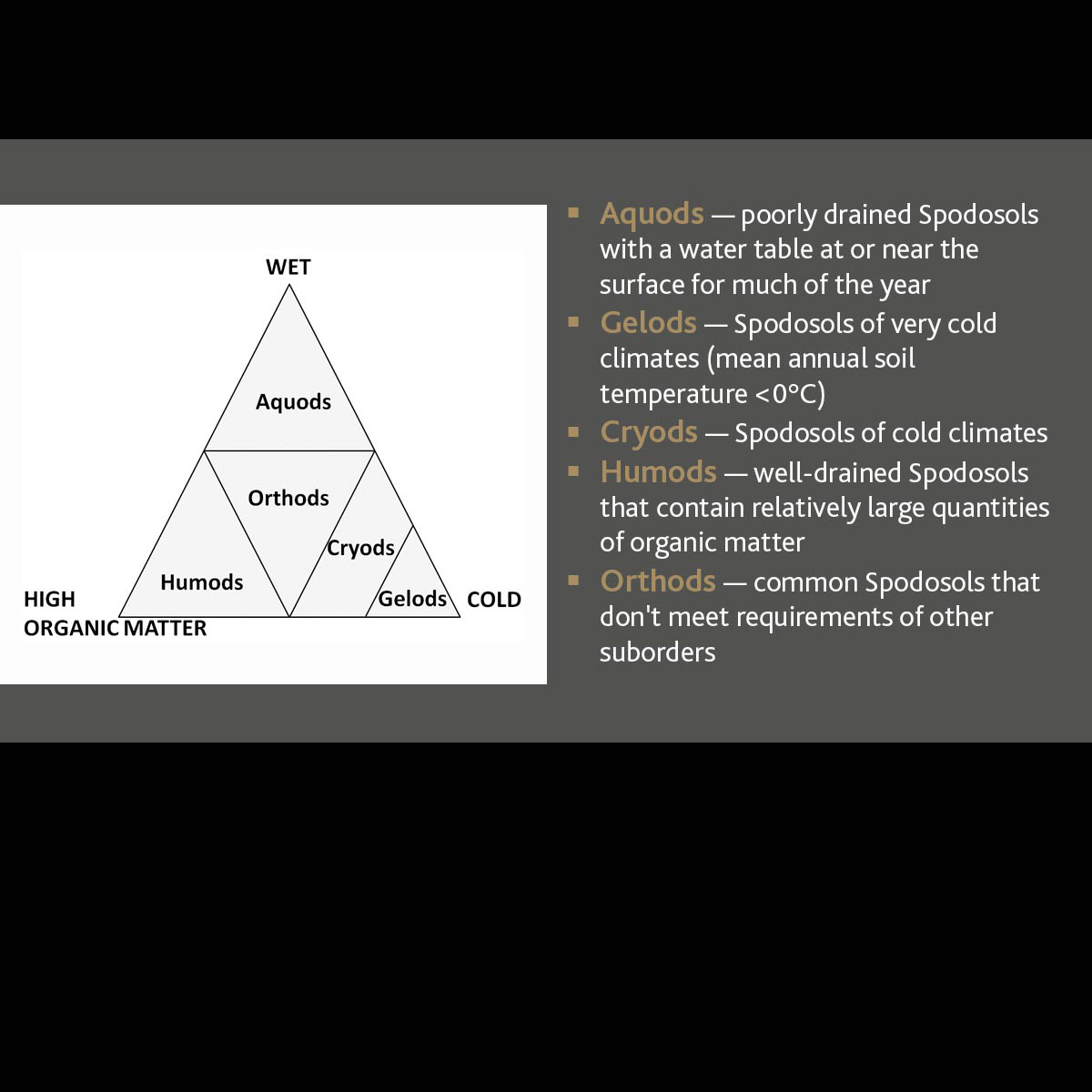 Spodosols | Soil & Water Systems | University of Idaho