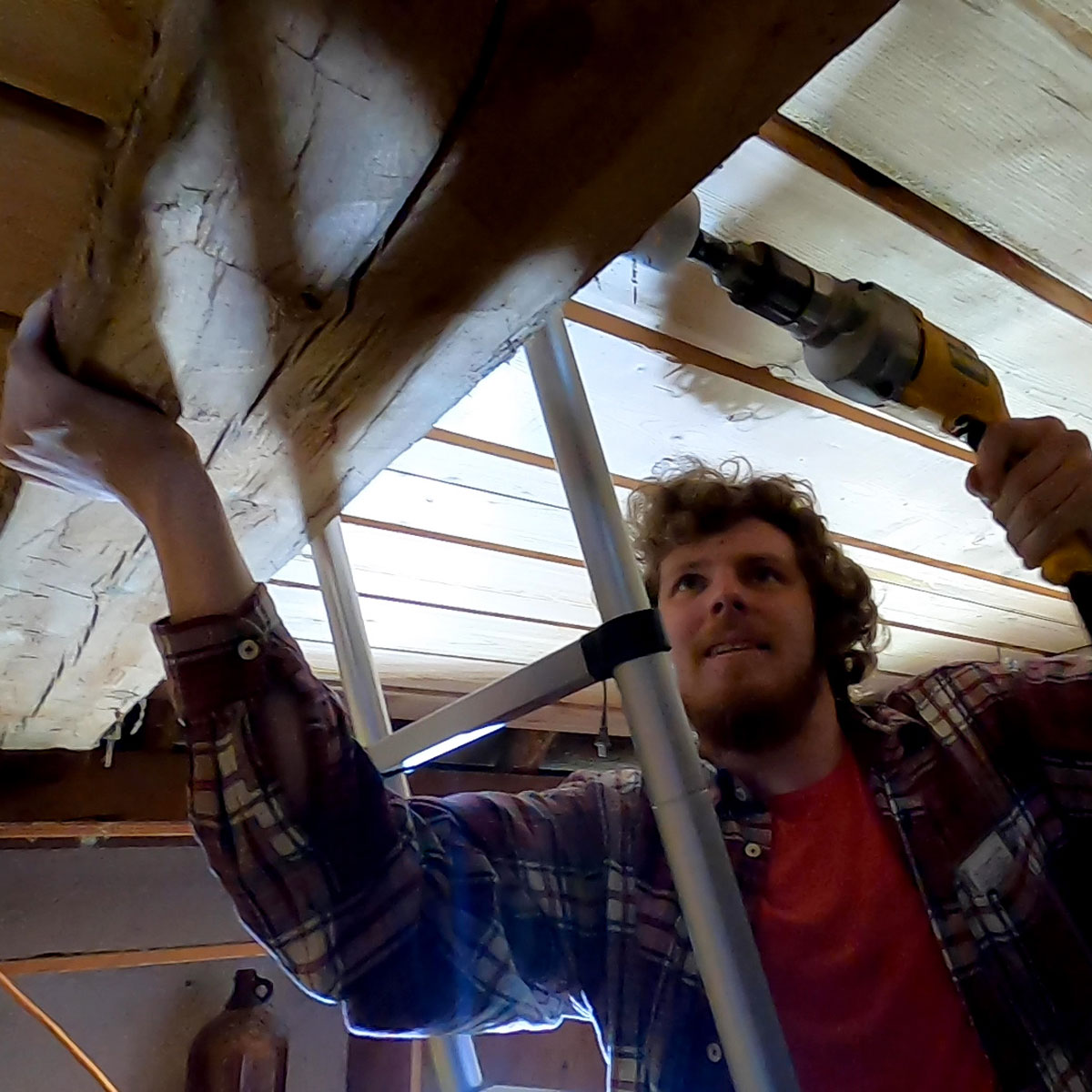 Student Dates Historical Cabin Using Tree-Ring Science