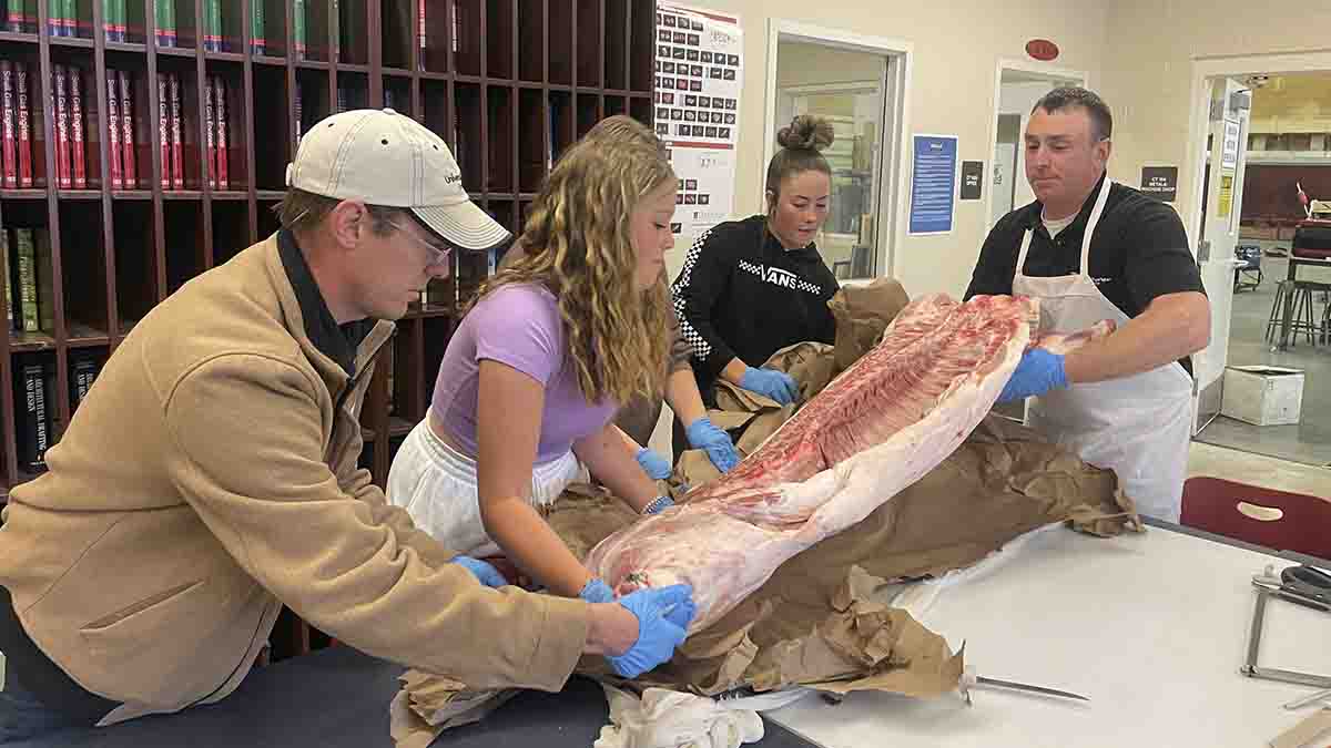 Teacher giving students hands-on training in handling meat.