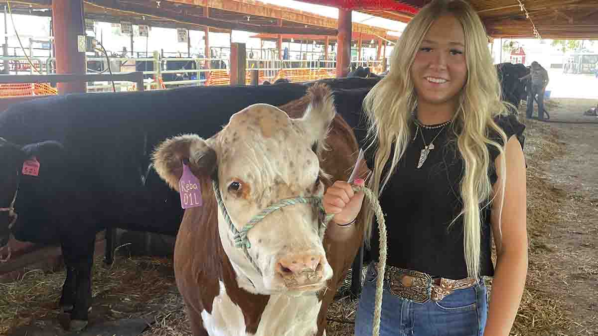 A woman with a cow at the fair.