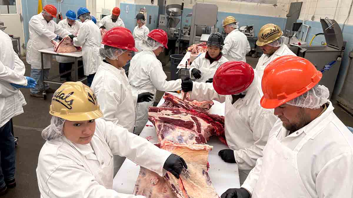 Men and women taking a beef cutting course.