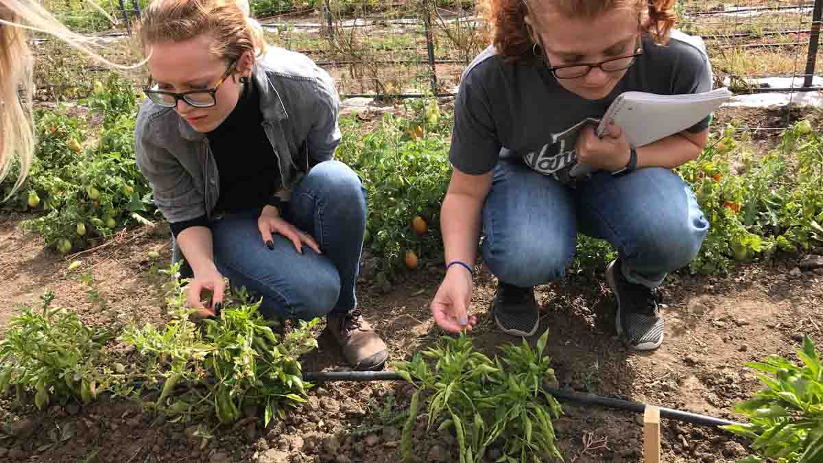 Soil Stewards Farm | Soil & Water Systems | UIdaho