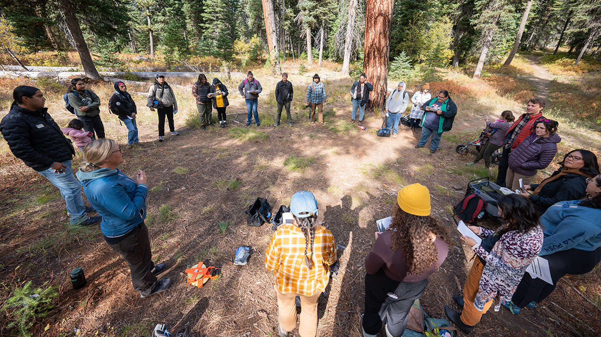 Circle of scholars in the woods.