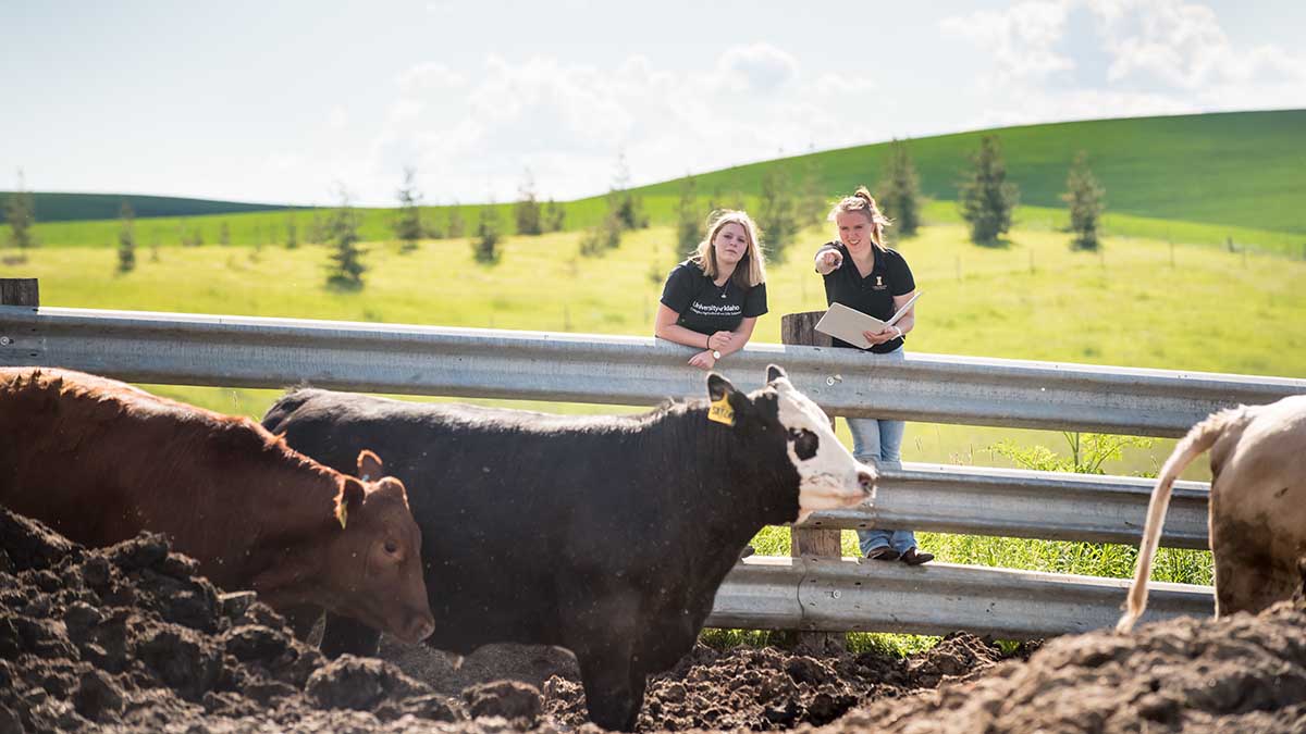 Animal & Veterinary Science: Business - University Of Idaho