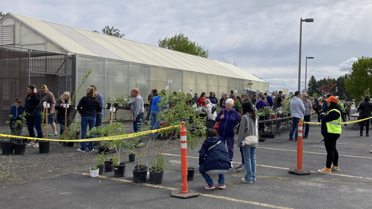 Associates and visitors aplenty visit the Facilities greenhouse for the annual plant sale.