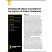 Potential of Silicon Amendment for Improved Wheat Production