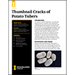 Thumbnail Cracks of Potato Tubers