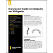 Homeowner Guide to Centipedes and Millipedes