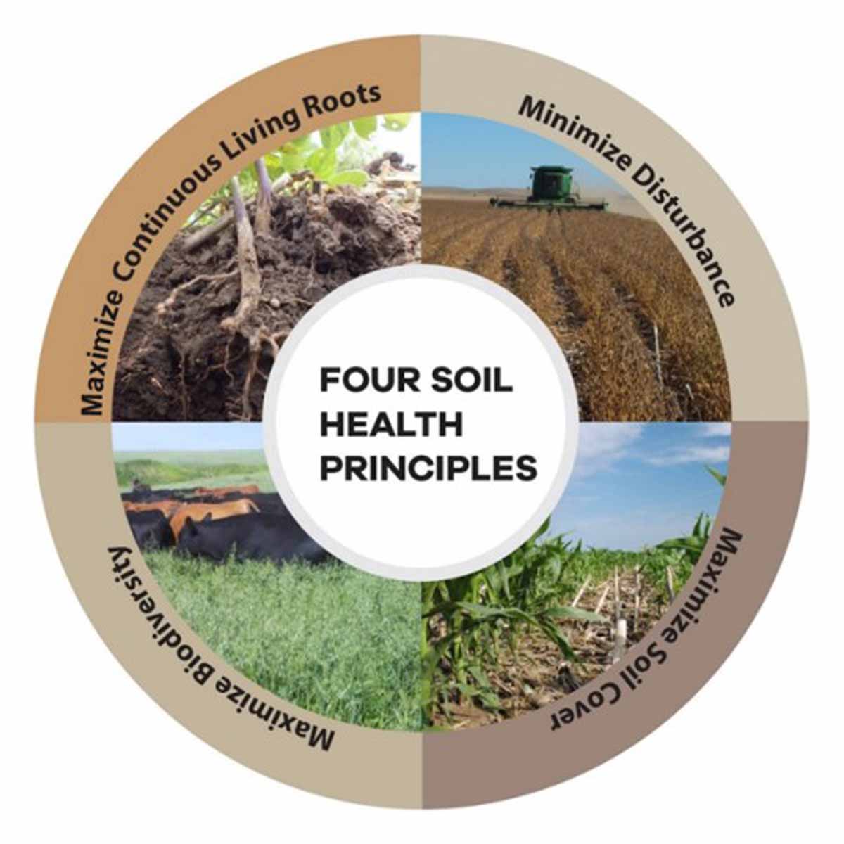 Soil Health | University Of Idaho Extension