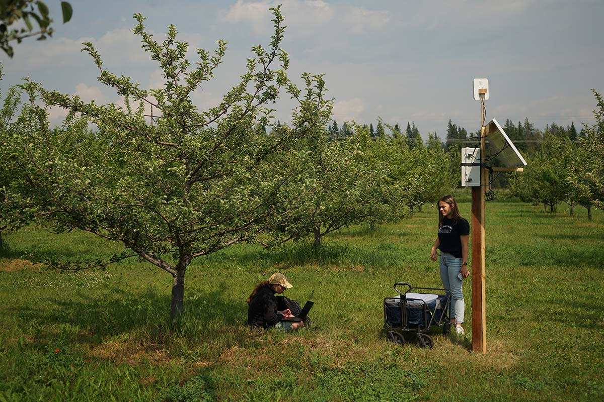 A student works on a computer under an apple tree while another student stands under a pole-mounted solar-powered weather monitoring system.