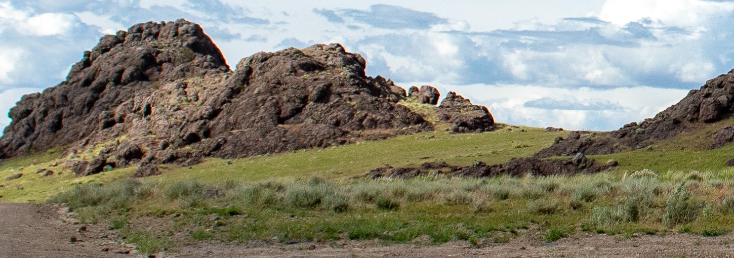 Owyhee rangeland-green