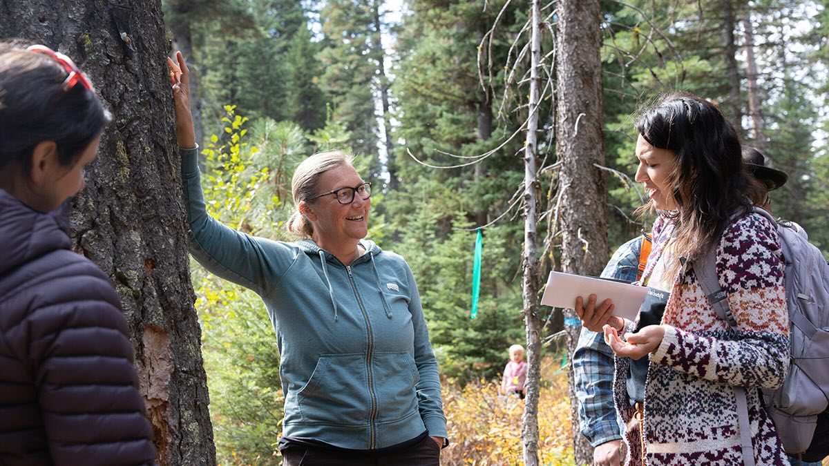 A group of people talking while being surrounded by trees