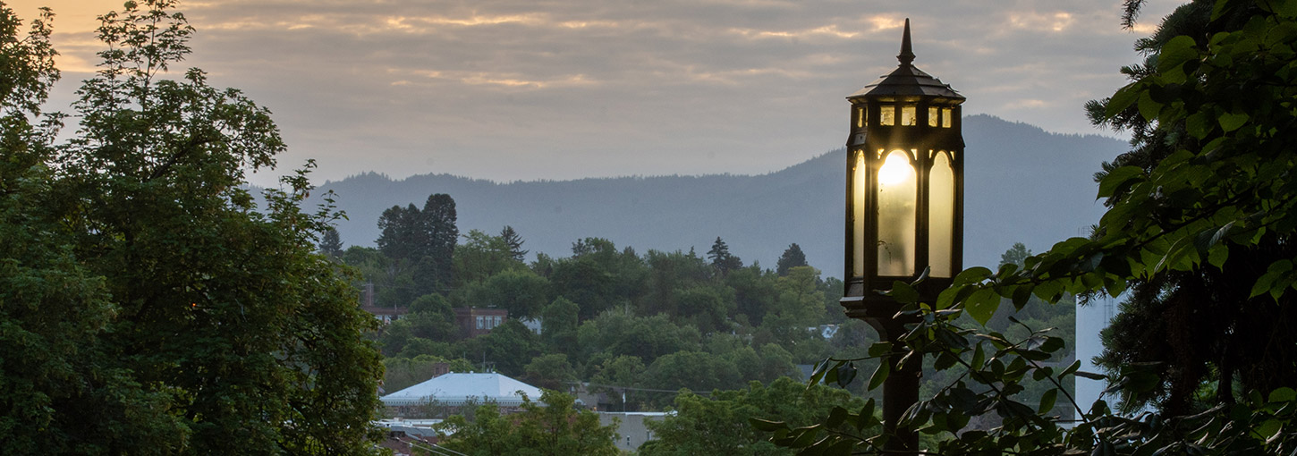 A light with trees and a mountain in the background